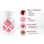 [24HR出貨]HEALTHPET 甘疸能 60粒 犬狗貓寵物肝臟保護配方 含紅樟芝子 保護肝臟.促進新陳代謝