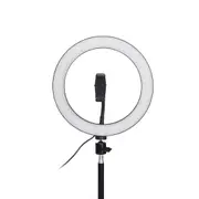 Dimmable Video Ring Light with Tripod Head Cold Shoe Mount Phone Clip for Youtube TikTok Live Streaming