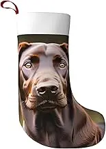pvinnk Brown Labrador Retriever Print Christmas Stocking Xmas Tree Decor Stocking Holiday Themed Candy Novelty Gifts