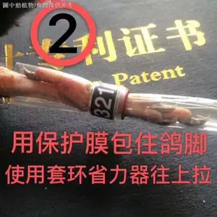 【信鴿剪環器】【鴿子專用鉗】信鴿足環賽鴿足環特比環鴿子套環省力器鴿子套環器幼鴿腳環上環器