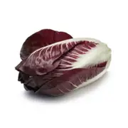 Organic Radicchio – Fresh, healthy organic delivery | Doorstep Organics
