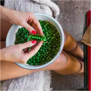 Pea (Shelling) - Onward seeds
