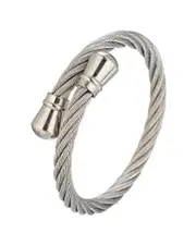 Eye Candy LA The Bold Collection Titanium Arlo Bracelet