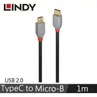 在飛比找樂天市場購物網優惠-LINDY林帝 ANTHRA USB2.0 TYPE-C公 