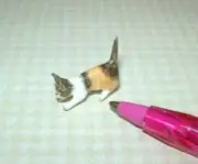 Miniature Resin CROUCHING Calico Tabby Kitten, Almost 3/4" Long: DOLLHOUSE 1:12