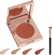 Colored Clay Cc Undereye Corrector,Color Corrector For Dark Circles With Brush, Conceal & Brighten Dark Circles,Under Eye Hydrating Concealer For Women (Orange, one size)