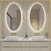 600x1100mm Motion Sensor Switch Oval Frameless Backlit Led Mirror Bathroom Vanity Mirror