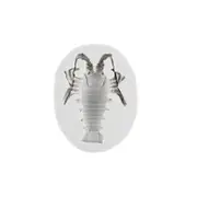 Silicone Fondant Molds Lobster Shaped Baking Accessory Chocolate Moulds Perfect for Baking Chocolate and Cake Decoration D