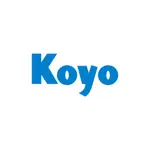 【軸承DOCTOR】日本KOYO 軸承鋼(緊配)塑膠蓋 6006-2RS 6206-2RS 6306-2RS 內徑30