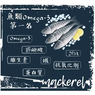 【賣魚的家】正宗肥美挪威鯖魚片10片組(200-220g/片)