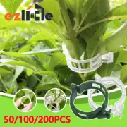 50-200x Garden Ties Tomato trellis Stake Plant Support Clips Veggie Greenhouse