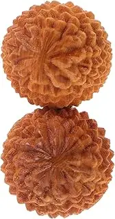 Healeved 2pcs Massage Ball Tools Massager Exercise Ball Spiky Roller Trigger Points Balls Hand Physical Ornament Massaging Wooden Handballs Mini Hand Balls Wooden Decors Durian
