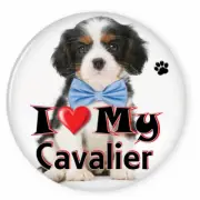 I LOVE MY CAVALIER KING CHARLES PUPPY 3" SAFETY PIN BACK BUTTON