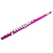 NEW Band Approved Hot Pink C Foot Flute/Silver Keys/Hard & Soft Cases