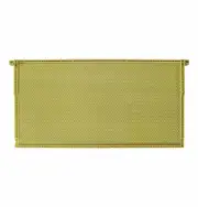 10 Pieces FD Plastic Hive Frames, Plastic Bee Frames