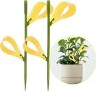 40 Pcs Fruit Fly Sticky Traps and Fungus Gnat Traps, Yellow Sticky Traps, for Pl