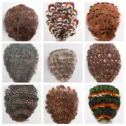 PHEASANT Feather PADS Many Types & Colors (Headband/Hats/Halloween/Costumes)
