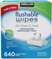 Kirkland Signature Moist Flushable Wipes (10-64ct Packs) 640 Wipes Total