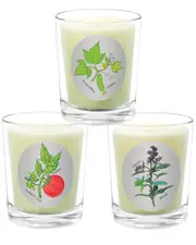 Qualitas Candles 3pc Candle Set - Tomato Leaf, Cucumber, & Basil