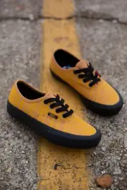 Vans Authetic Pro (Reflective) Tiger/Black. Brand New. Mens Size: 6.5