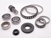 Renault JB2 JB3 Gearbox Bearing Rebuild Kit Late Clio Magane