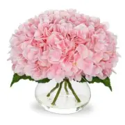 Hydrangea Artificial Flowers with Pink Silk Faux Glass Vase Hydrangea, Pink
