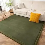 Play Mat Coral Velvet Area Rugs,3cm Thick Japanese Tatami Mat with Non-Slip Backing, Large Solid Color Mat for Bedroom Dormitory Yoga (Olive Green, 200x200x3cm)