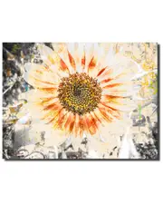 Ready2HangArt Painted Petals XC Wrapped Canvas Wall Art by Tristan Scott
