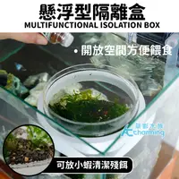 在飛比找蝦皮購物優惠-【AC草影】漂浮式 孔雀魚繁殖隔離盒【一組】孔雀魚隔離 魚蝦