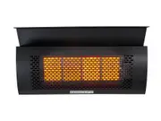 Heatstrip Wall Mounted Natural Gas Heater - Panel Heaters (TM-TGH34WN-2) - TGH34WN-2-TM