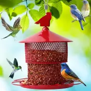 Metal Bird Feeders for Outside Hanging,Bird Feeders Squirrel Proof Mesh Tube ...