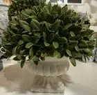 HABITANIA ARTIFICIAL SMALL TOPIARY BALL IN EARTHENWARE VASE/URN-NEW-H24xW27cm