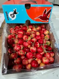 在飛比找Yahoo!奇摩拍賣優惠-紐西蘭大硬脆櫻桃🍒2kg3980