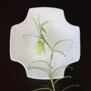 Dot Cross Plate Matte White Small Mashiko Ware Small Plate Dessert From Japan