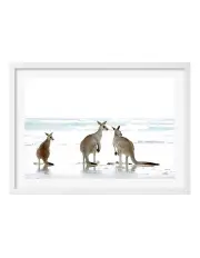 [Profile Australia] Australian Made Kangaroo Beach Art Print A1 Frame in White