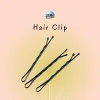 在飛比找蝦皮購物優惠-Hitam 髮夾棒 4cm Bobby Pins 髮夾 Bo