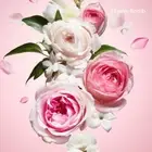 PREMIUM HIGHLY SCENTED REED DIFFUSER REFILLS - Flower Bomb Fragrance