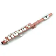 SKY Pink Piccolo with Silver Keys. Band Approved.