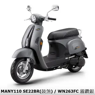 《KYMCO》光陽機車 Many 110 鼓煞 七期 全新 SE22BR Many110 進程車業【機車工程師】