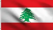 DMSE Lebanon Lebanese Republic National Flag 2X3 Ft Foot 100% Polyester 100D Flag UV Resistant (2' X 3' Foot)