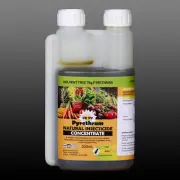 Pyrethrum Concentrate - 75g Pyrethrin (Solvent Free ) Bottle 300mL