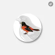 Baltimore Orioles MLB | 4'' X 4'' Round Decorative Magnet