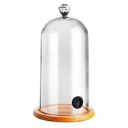 Plastic Smoking Cloche Hood Molecular Cuisine Dome Cover for Cocktail Cake