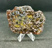 SEYMCHAN METEORITE PALLASITE FULL SLICE 26,4 g