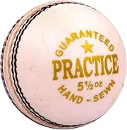 Jager-Smith Practice Leather Cricket Ball (White)