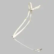 HORSE SIZE- READY MADE-White ENGLISH BREAST COLLAR Made from BETA BIOTHANE