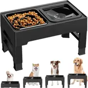 2-in-1 Raised Pet Bowl with Slow Feeder - Black