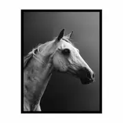 Horse Framed Print Fine Art Poster Print ArtPoster