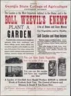 1918 Georgia College Agriculture Garden Boll Weevil Poster Print Retro