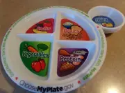 MY PLATE GOOD NUTRITION 5 SECTION FOOD GROUPS CHOOSE MY PLATE, gov NEW